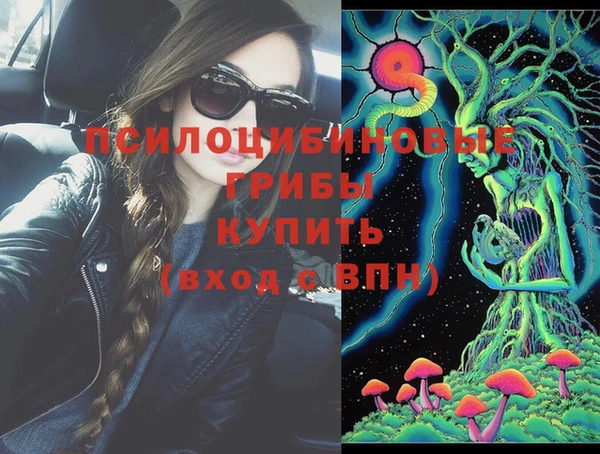 амф Абаза