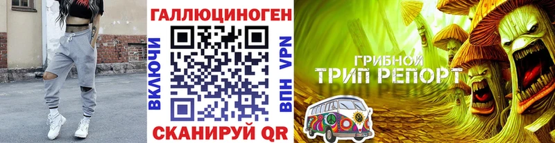 Псилоцибиновые грибы мицелий  Калининград 
