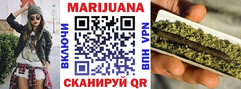 Конопля сатива  Калининград 